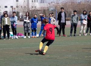 绿茵女将,球场上的巾帼英雄传奇