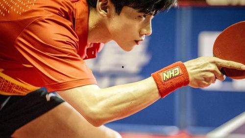 荣耀乒乓,激战正酣,国乒精英展翅翱翔