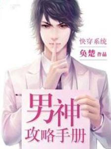 男神攻略手册,攻略手册全解析
