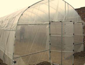 塑料大棚,现代农业的绿色守护者