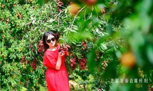 某种天堂,探寻神秘天堂的奇幻之旅